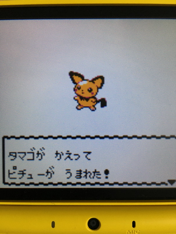 色違いポケモン紹介 Vc産ピチュー 自由に生きてあそblog