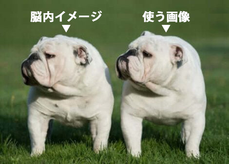 f:id:Free_Life_risa:20210131021421j:plain