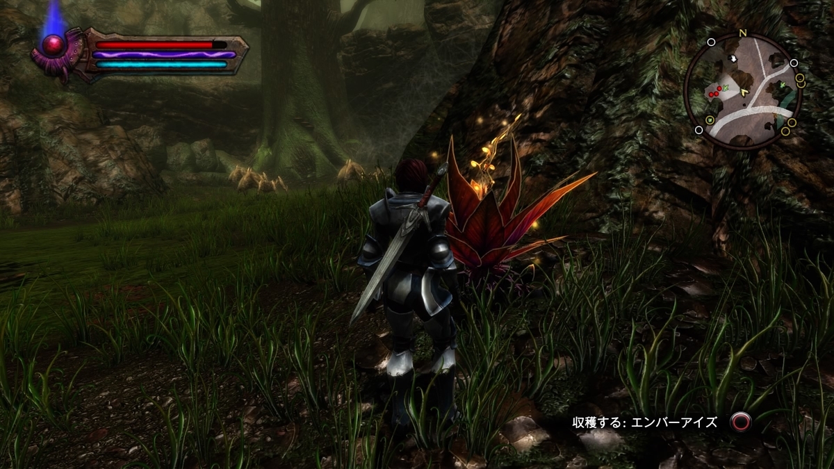 キングダムズオブアマラーre Reckoning フレイニャのブログ