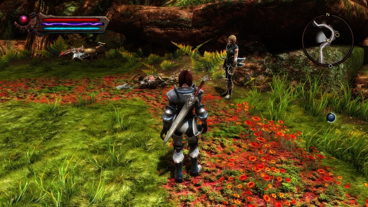 フィールドのNPC