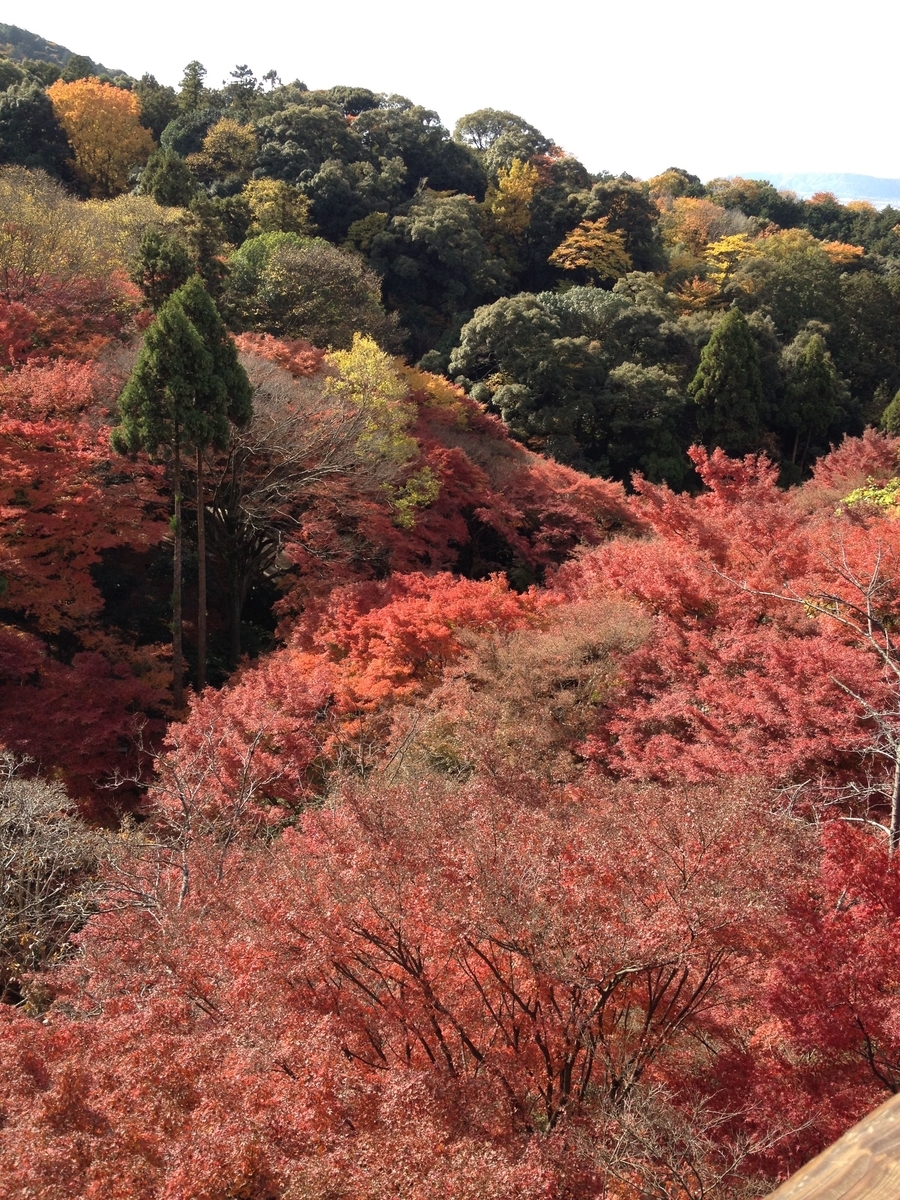 清水寺