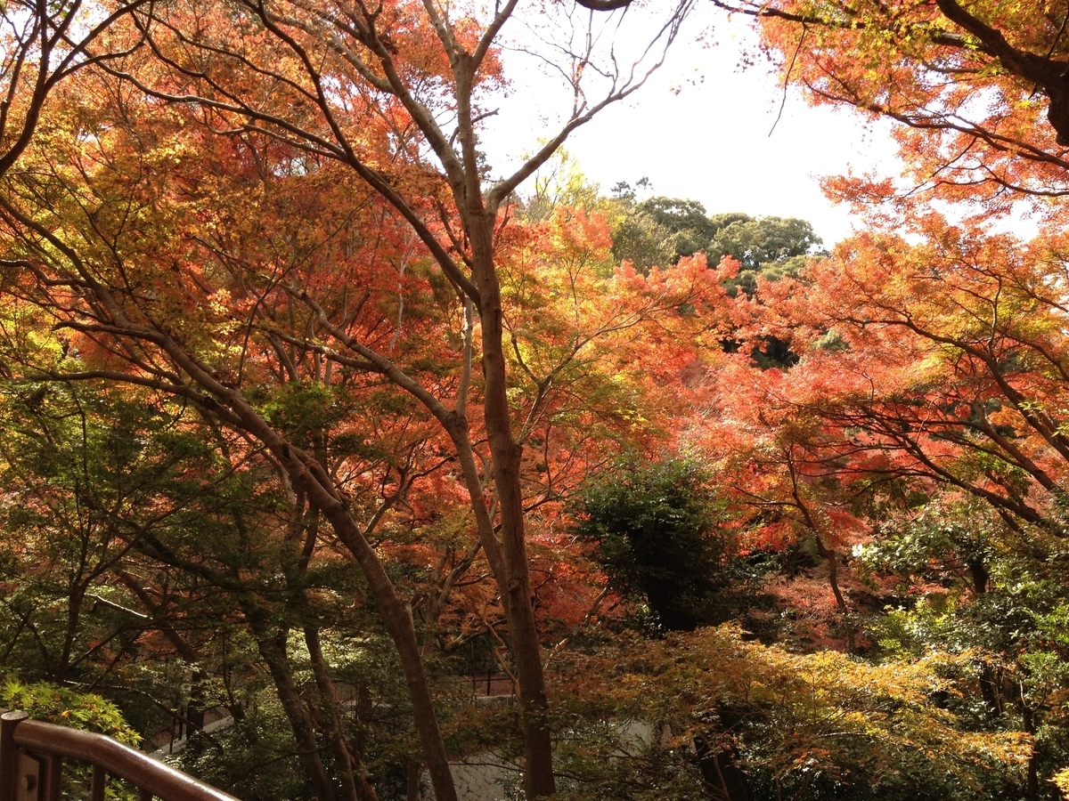 清水寺