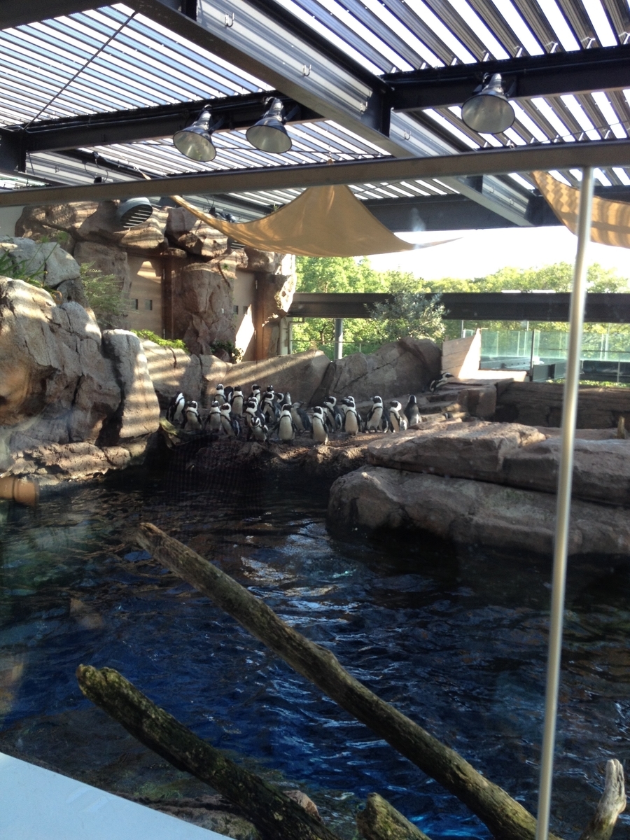 京都水族館