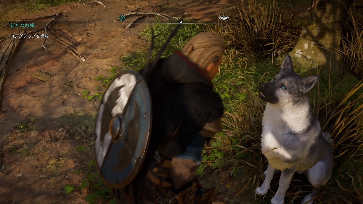 犬