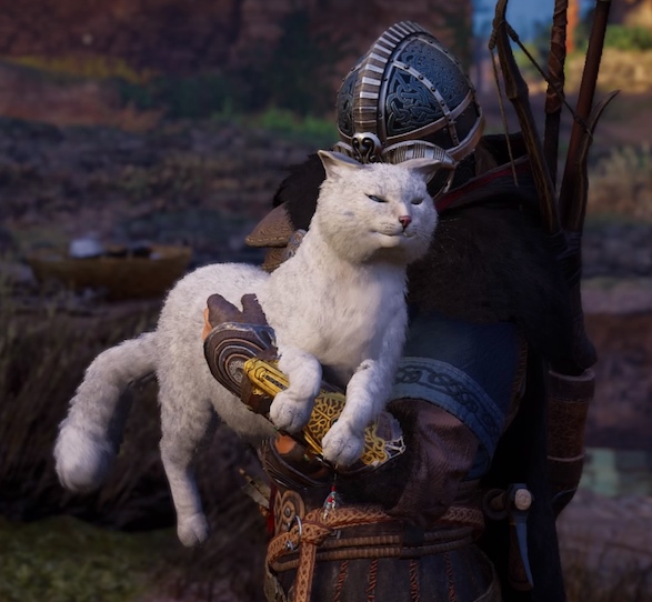 ねこちゃん