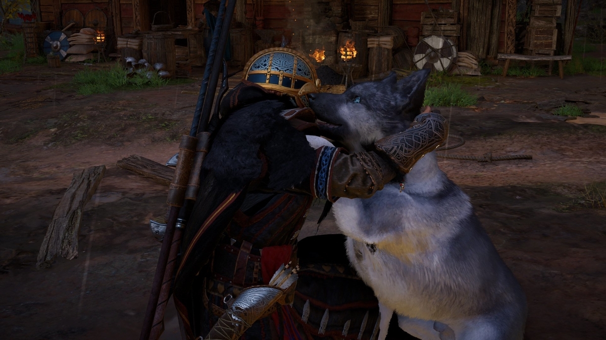 犬