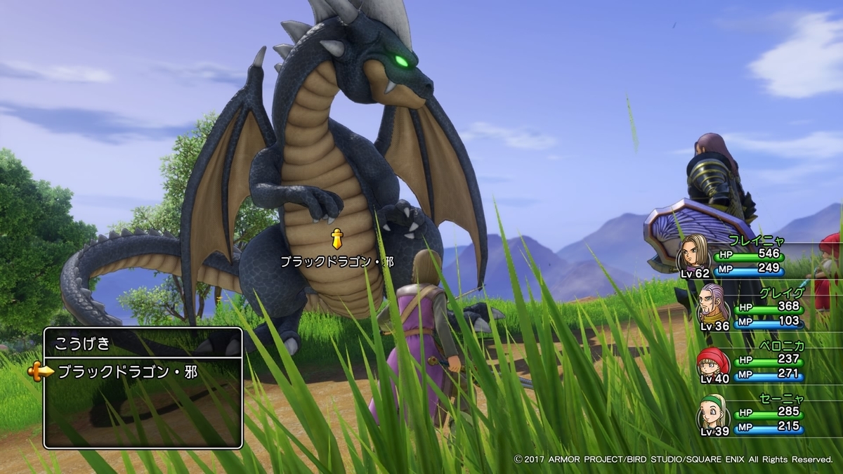 ブラックドラゴン邪
