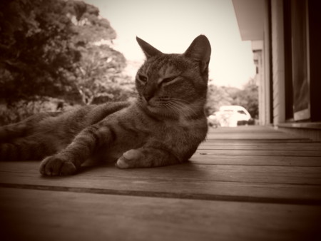 f:id:FrisbeeDolphinM:20090912110443j:image
