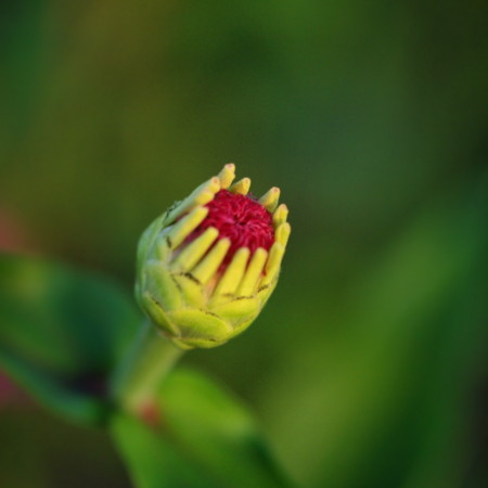 f:id:FrisbeeDolphinM:20100726054450j:image