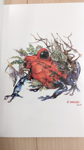 動物×植物＝KEN MATSUDA - Froggy Queendom