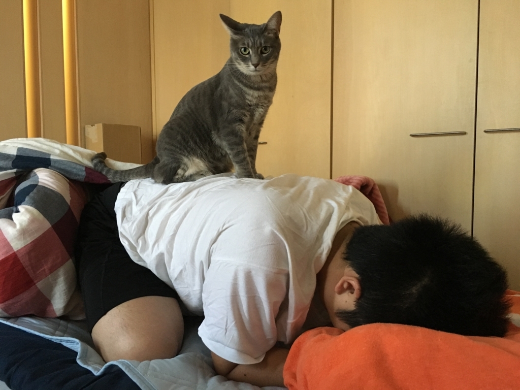f:id:FromAtom:20161020085805j:plain