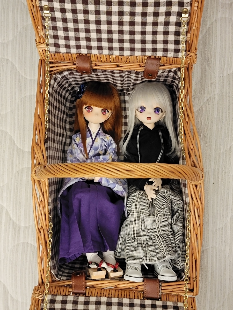 ドールとお出かけする時の運搬方法って人それぞれだよね - ビールと