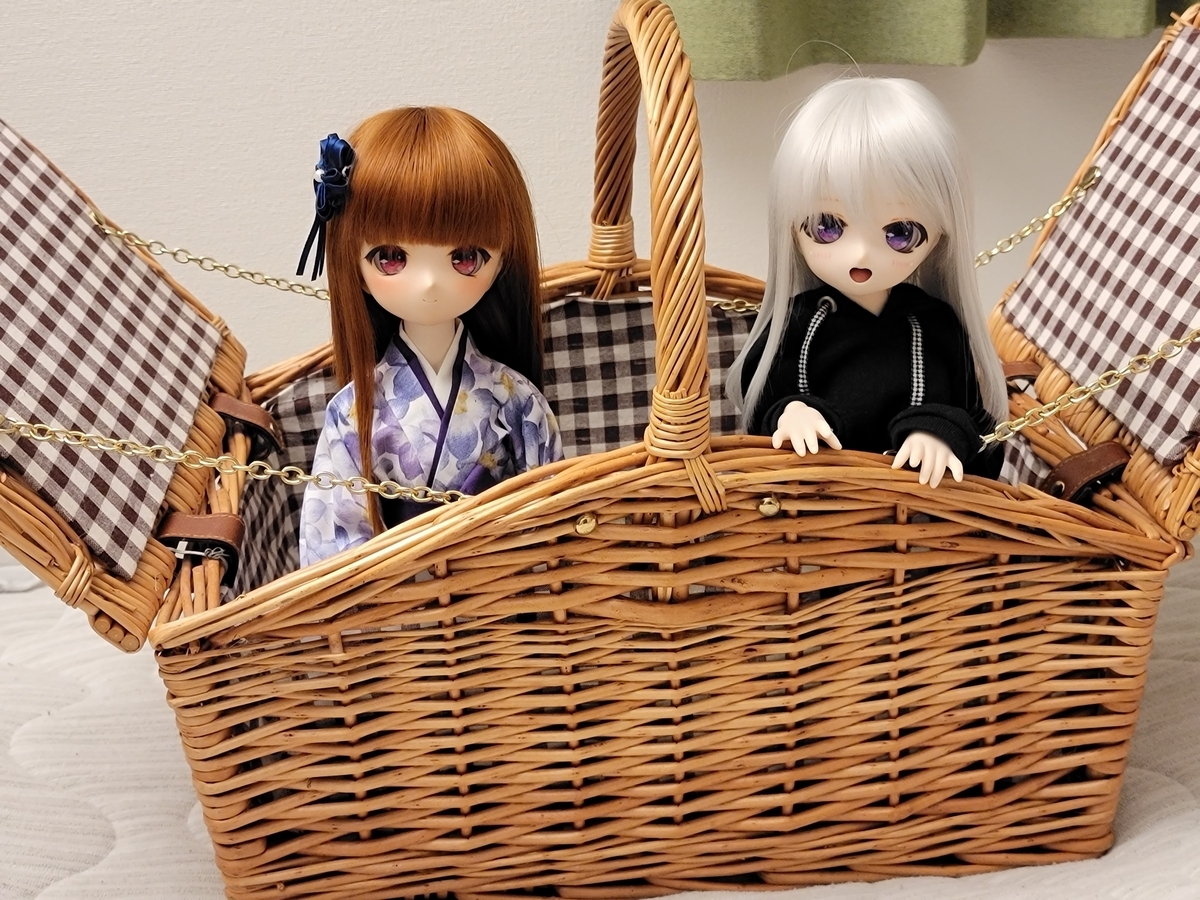 ドールとお出かけする時の運搬方法って人それぞれだよね - ビールと