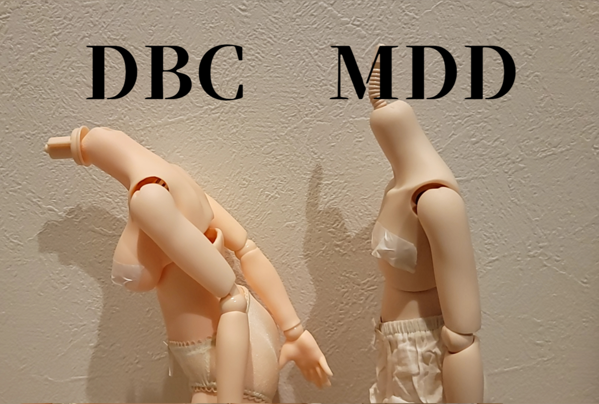 DBCボディがやってきた！ - ビールとカメラとドールが好き
