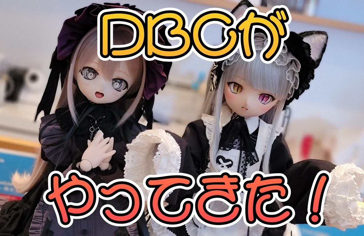 DBCボディがやってきた！ - ビールとカメラとドールが好き