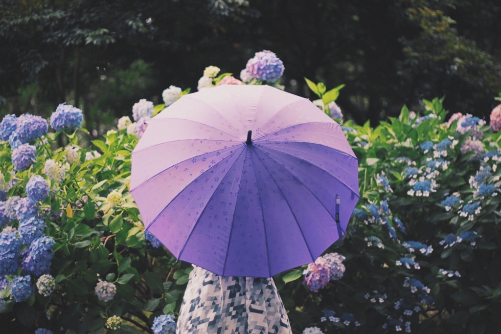 f:id:FruGra:20180625004735j:plain
