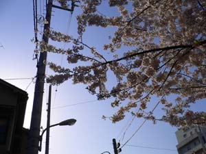 f:id:Fuetaro:20050409212824:image f:id:Fuetaro:20050409212824:image