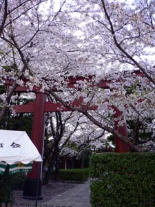 f:id:Fuetaro:20050409213439:image f:id:Fuetaro:20050409213439:image