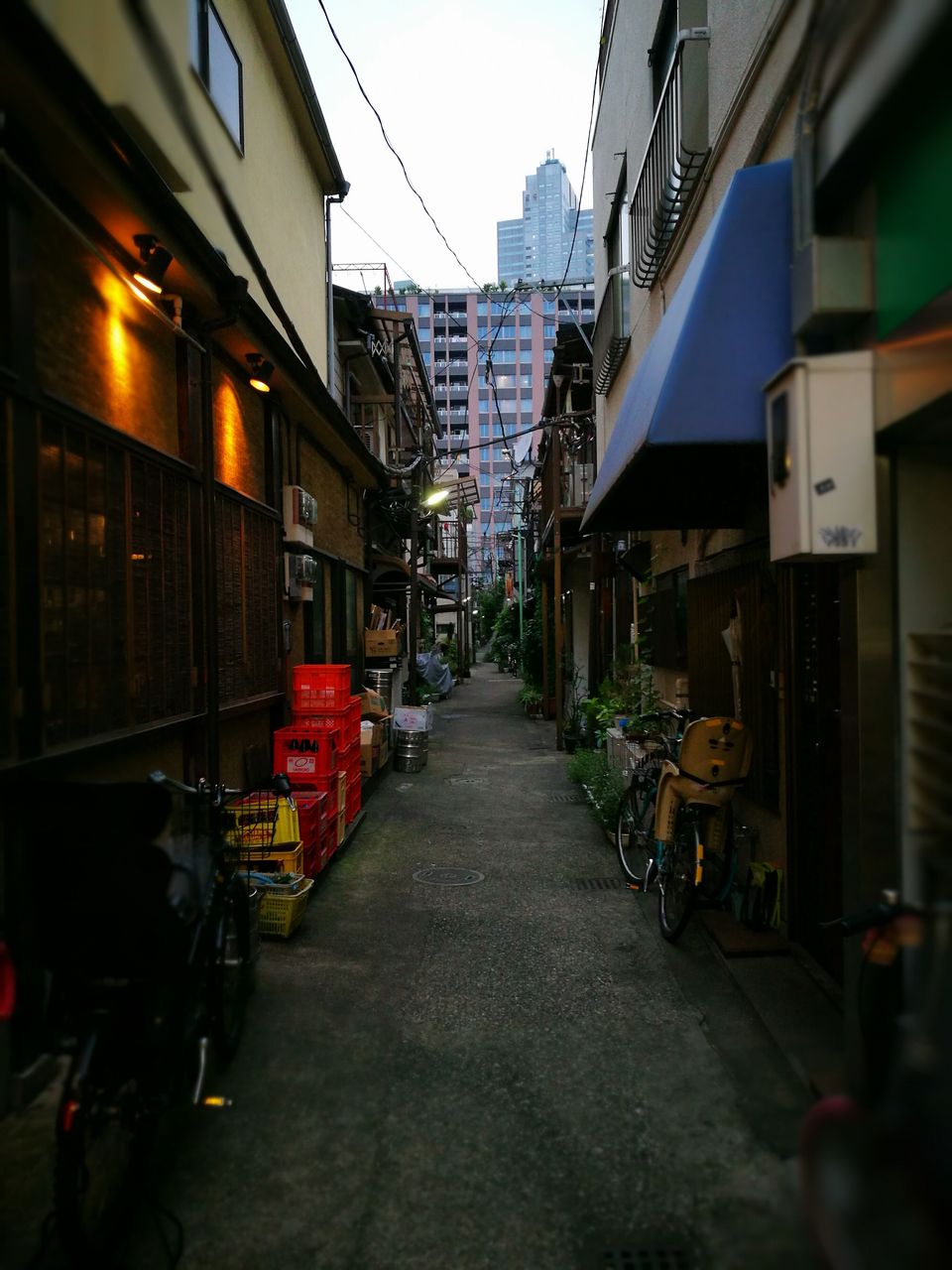 f:id:Fuetaro:20160717150545j:image