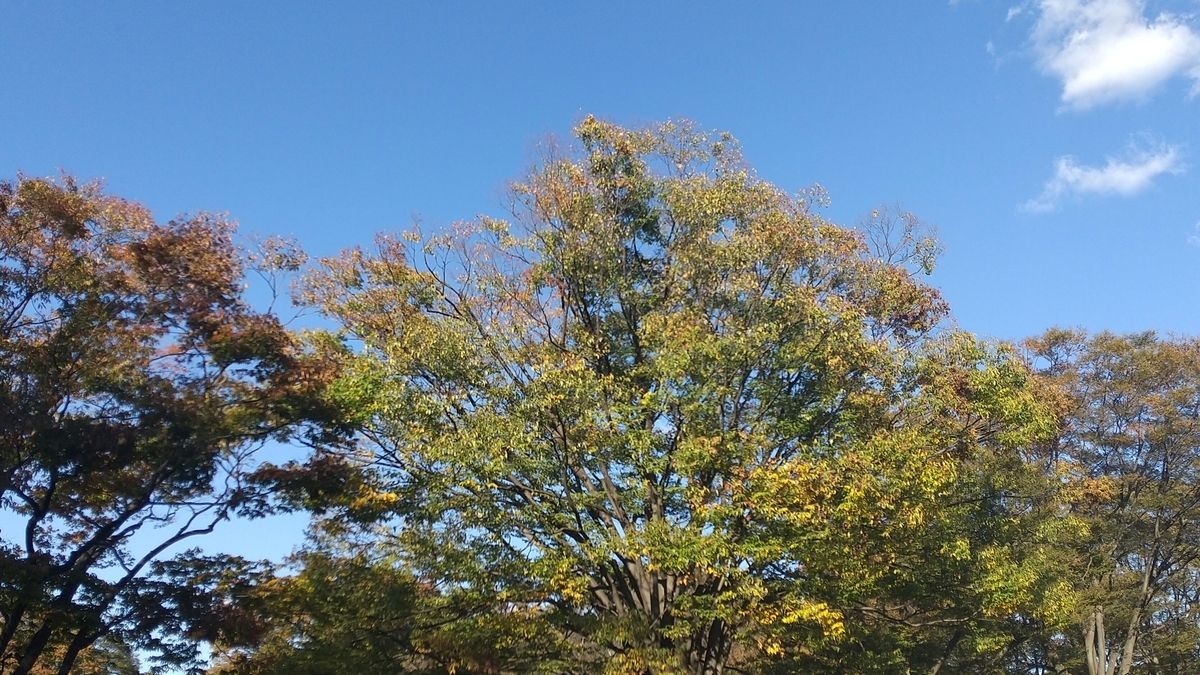 f:id:FujiYama:20211029212010j:plain