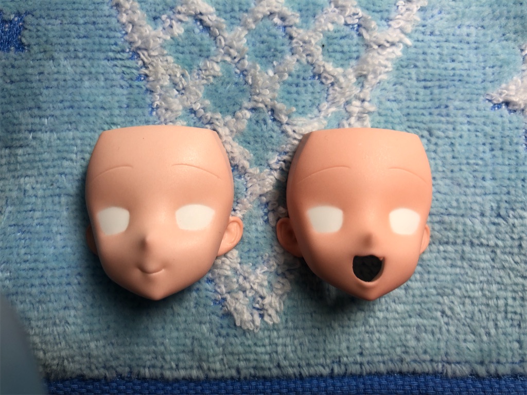 f:id:Fujiatorie:20210318155329j:image