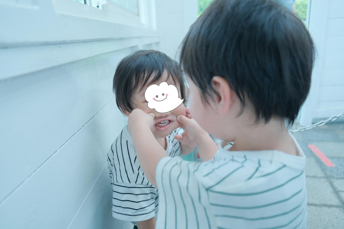 f:id:Fujinon_SoratoKodomo:20200704155146j:plain f:id:Fujinon_SoratoKodomo:20200704155146j:plain