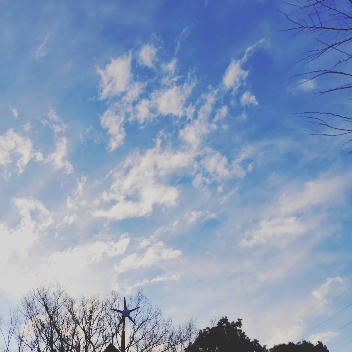 f:id:Fukami_Ao:20220109003307j:plain