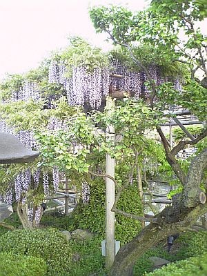 f:id:FukeGaO:20070504230510j:image