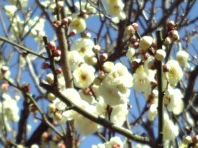 f:id:FukeGaO:20080216131642j:image f:id:FukeGaO:20080216131642j:image