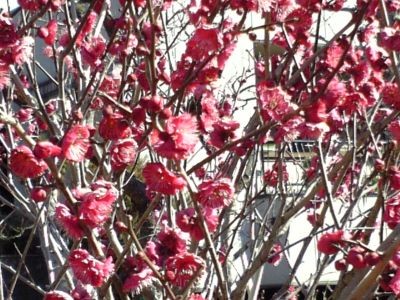 f:id:FukeGaO:20080216132025j:image f:id:FukeGaO:20080216132025j:image