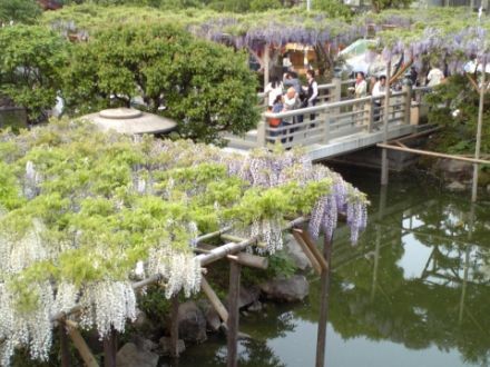 f:id:FukeGaO:20080429180523j:image