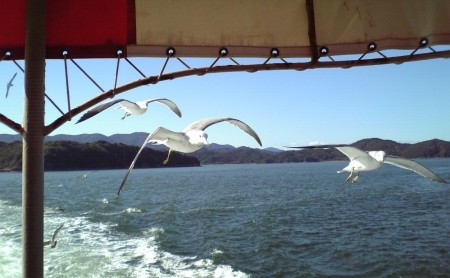 f:id:FukeGaO:20091102095124j:image