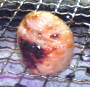f:id:FukeGaO:20100206164628j:image
