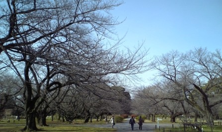 f:id:FukeGaO:20100214125249j:image f:id:FukeGaO:20100214125249j:image