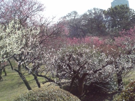f:id:FukeGaO:20100214130846j:image f:id:FukeGaO:20100214130846j:image