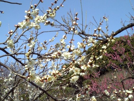 f:id:FukeGaO:20100214130940j:image f:id:FukeGaO:20100214130940j:image