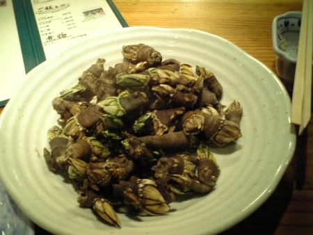 f:id:FukeGaO:20100307201903j:image