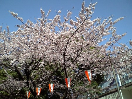 f:id:FukeGaO:20100314135407j:image