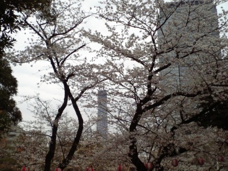 f:id:FukeGaO:20100404132003j:image