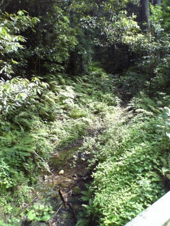 f:id:FukeGaO:20100617145157j:image f:id:FukeGaO:20100617145157j:image