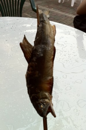 f:id:FukeGaO:20100912143954j:image