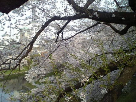 f:id:FukeGaO:20110410164244j:image