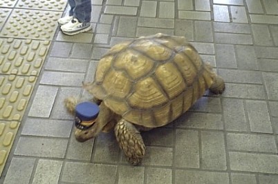 f:id:FukeGaO:20110424104132j:image f:id:FukeGaO:20110424104132j:image