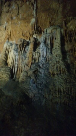 f:id:FukeGaO:20111111141524j:image f:id:FukeGaO:20111111141524j:image