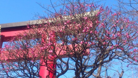 f:id:FukeGaO:20120212122125j:image