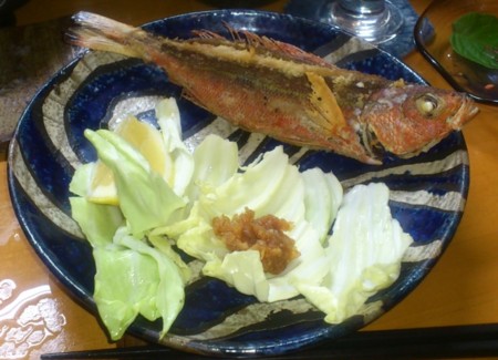 f:id:FukeGaO:20120303201829j:image