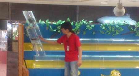 f:id:FukeGaO:20120305141053j:image