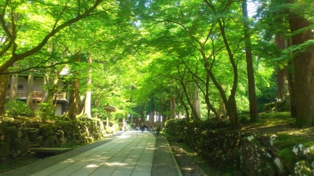 f:id:FukeGaO:20120710132150j:image