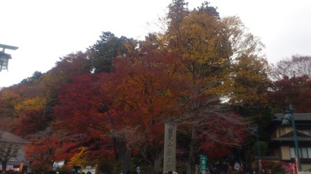 f:id:FukeGaO:20121124123512j:image