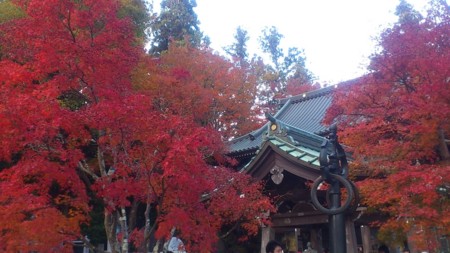 f:id:FukeGaO:20121124143036j:image